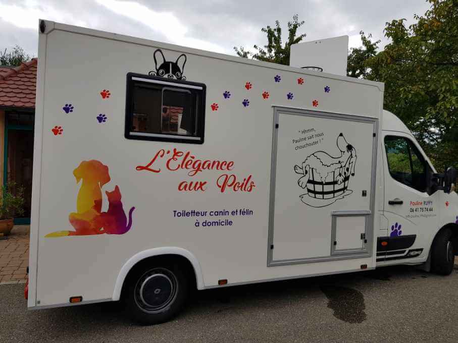 camion toiletteur canin et félin