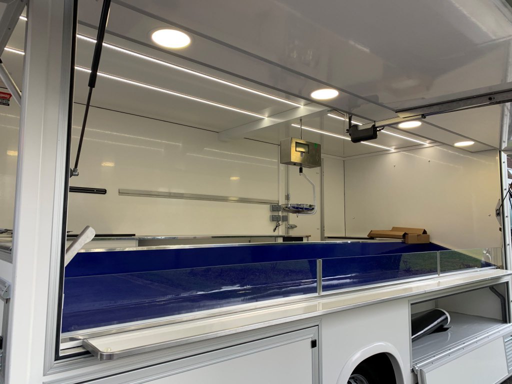 Camion poissonnerie Hedimag